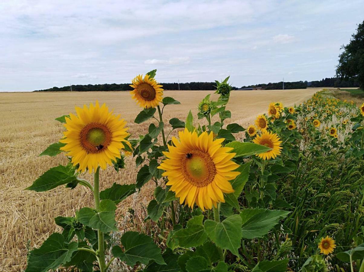 Gite Du Soleil Anhee ภายนอก รูปภาพ